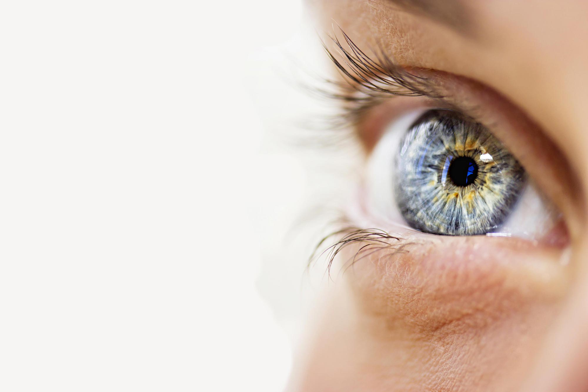 Eye Care Panama City Fl
